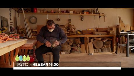 изображение на Да хванеш гората | неделя по NOVA | 15 мар. 2026