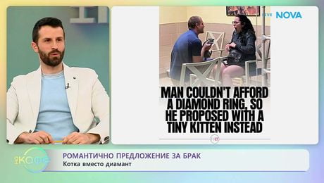 изображение на Романтично предложение за брак: Котка вместо диамант | На кафе | 17 мар. 2026