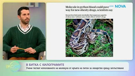 изображение на Питонът вдъхнови нов метод за отслабване | На кафе | 20 мар. 2026