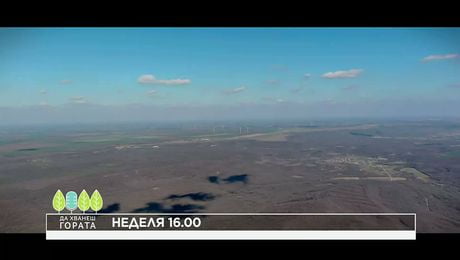 изображение на Да хванеш гората | неделя по NOVA | 22 мар. 2026