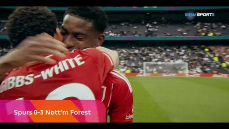 изображение на Да скъсаш мрежата | 24 мар. 2026