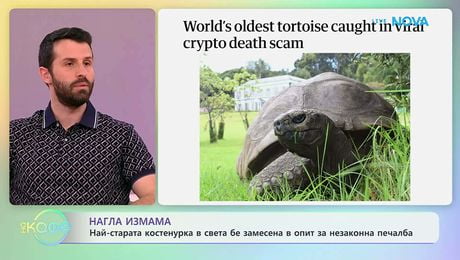 изображение на Нагла измама с най-старата костенурка в света | На кафе | 3 апр. 2026
