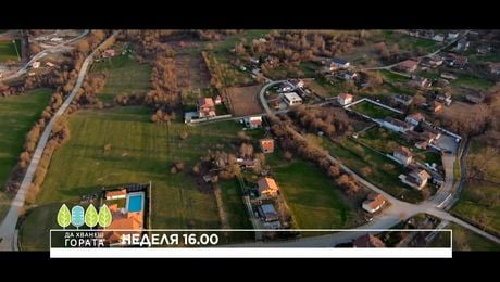 изображение на Да хванеш гората | неделя по NOVA | 5 апр. 2026