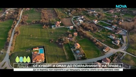 изображение на Да хванеш гората | От Кувейт и Оман до покрайнините на Правец | 5 апр. 2026