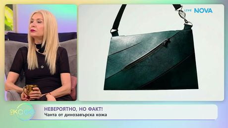 изображение на Чанта от динозавърска кожа | На кафе | 7 апр. 2026