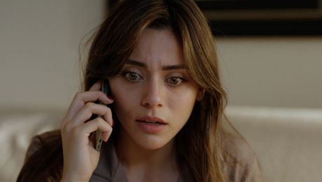 изображение на Шербет от боровинки