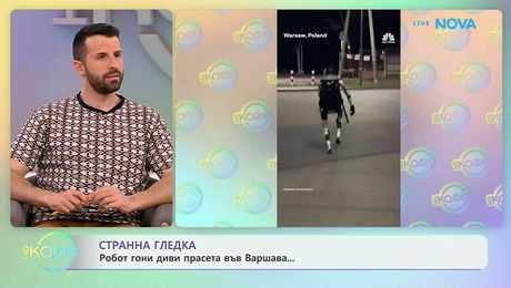 изображение на Робот гони диви прасета във Варшава | На кафе | 15 апр. 2026