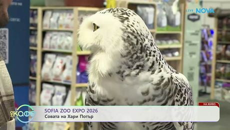 изображение на Sofia Zoo Expo 2026 | На кафе | 17 апр. 2026