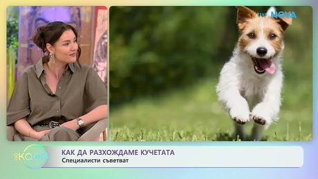 изображение на Как да разхождаме кучетата | На кафе | 21 апр. 2026