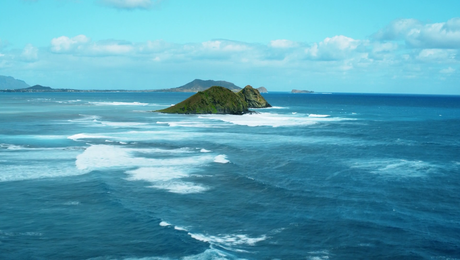 изображение на Магнум