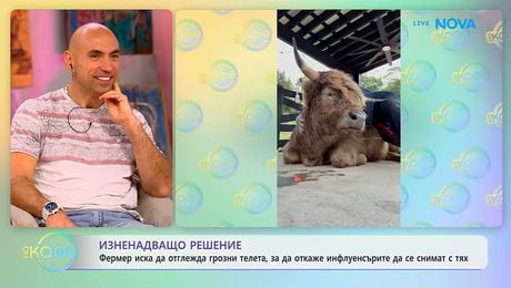 изображение на Фермер иска да отглежда грозни телета, за да откаже инфлуенсърите да се снимат с тях | На кафе | 23 апр. 2026