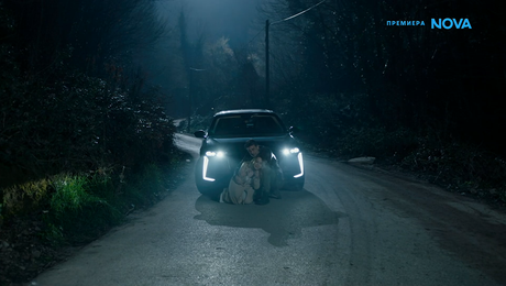 изображение на Диво сърце