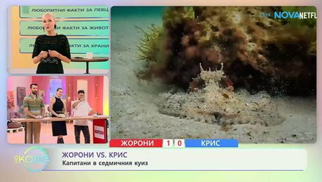 изображение на Жорони VS Крис | Капитани в седмичния куиз | На кафе | 28 апр. 2026