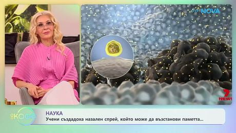 изображение на Учени създадоха назален спрей, който може да възстанови паметта | На кафе | 29 апр. 2026