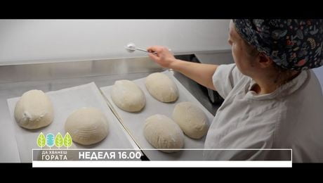изображение на Да хванеш гората | неделя по NOVA | 3 май 2026