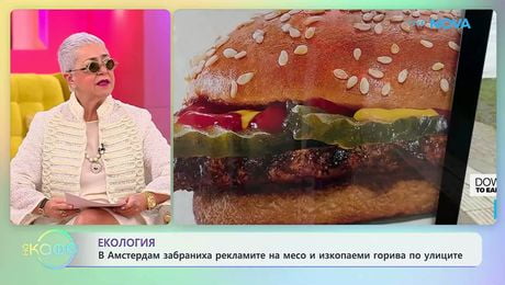 изображение на В Амстердам забраниха рекламите на месо и изкопаеми горива по улиците | На кафе | 7 май 2026
