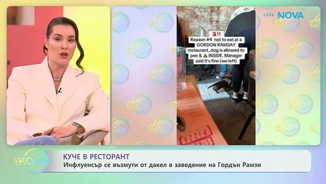 изображение на Инфлуенсър се възмути от дакел в заведение на Гордън Рамзи  | На кафе | 7 май 2026