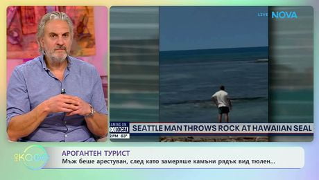 изображение на Мъж беше арестуван, след като замеряше с камъни рядък вид тюлен | На кафе | 13 май 2026