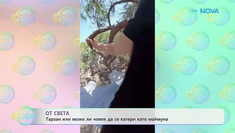изображение на Тарзан или може ли човек да се катери като маймуна | На кафе | 15 май 2026