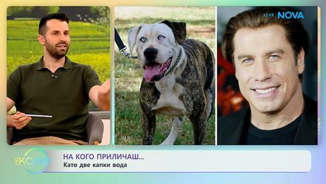 изображение на На кого приличаш? Като две капки вода | На кафе | 20 май 2026