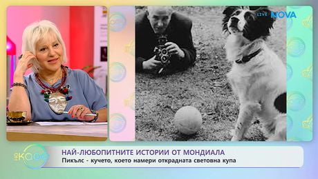 изображение на Пикълс: Кучето, което намери открадната световна купа | На кафе | 10 юни 2026