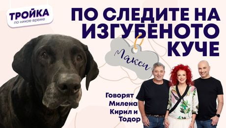 изображение на По следите на изгубеното куче! | Тройка по никое време Podcast
