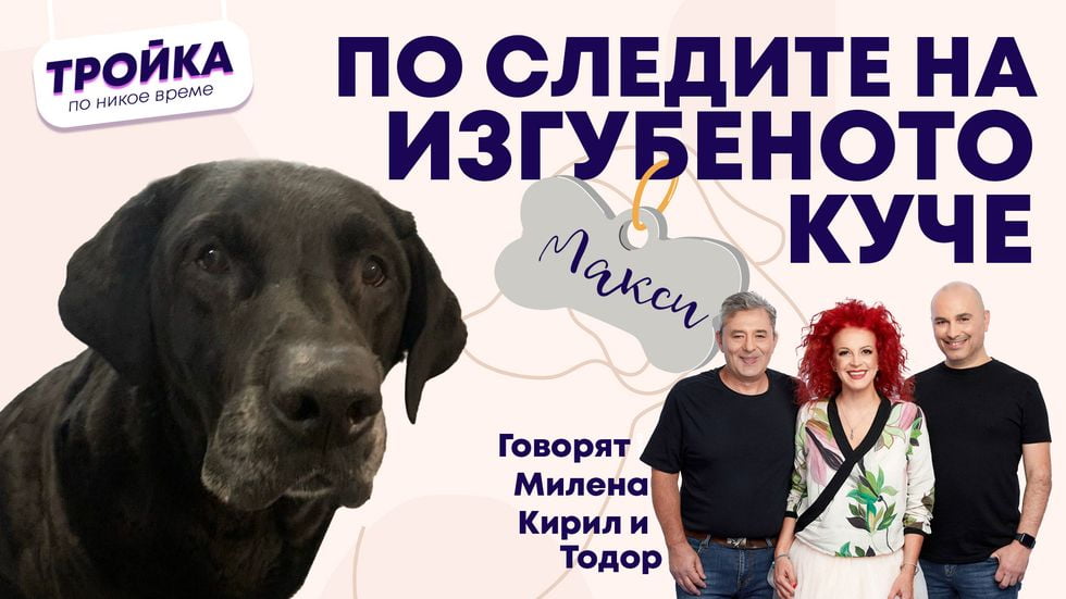 По следите на изгубеното куче! | Тройка по никое време Podcast