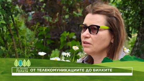 изображение на Да хванеш гората | От телекомуникациите до билките в село Гълъбовци | 12 юли 2026