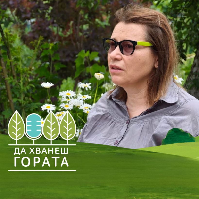 Да хванеш гората | От телекомуникациите до билките в село Гълъбовци | 12 юли 2026
