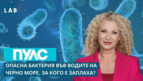 изображение на Опасна бактерия във водите на Черно море, за кого е заплаха? | NOVA LAB Пулс