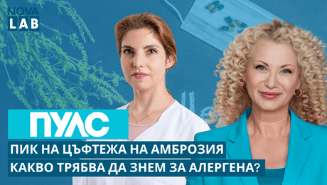 изображение на Пик на цъфтежа на амброзия. Какво трябва да знаят хората, чувствителни към алергена? | Д-р Диана Христова, алерголог | NOVA LAB Пулс