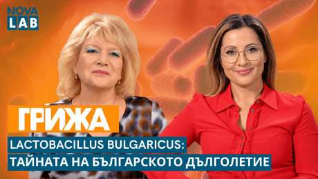 изображение на Lactobacillus bulgaricus: Тайната на българското дълголетие| NOVA LAB Грижа