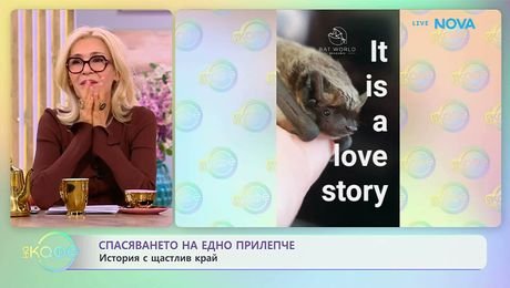 изображение на Спасяването на едно прилепче: История с щастлив край | На кафе | 16 окт. 2026