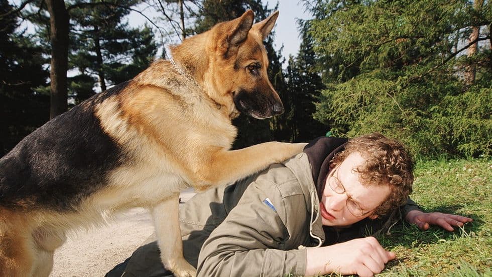 изображение на Комисар Рекс / Сезон 4