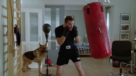 изображение на Комисар Рекс