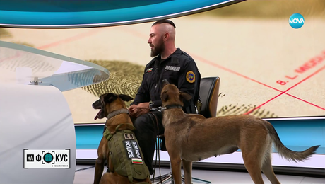 изображение на Богдан Димитров и неговите кучета под пагон: Дарк и Кира, които търсят експлозиви и наркотици