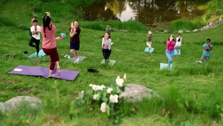 изображение на Идеалното решение