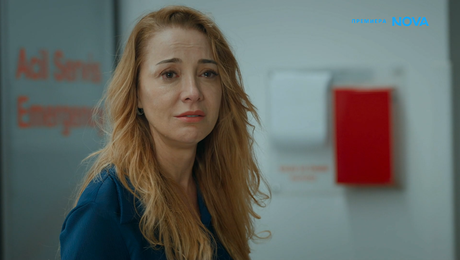 изображение на Диво сърце