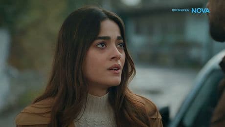 изображение на Диво сърце