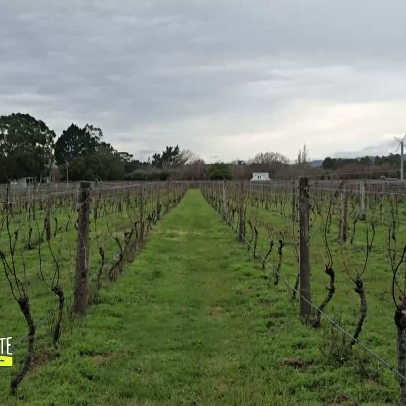 Непознатите земи | Нова Зеландия | 8 февруари 2026