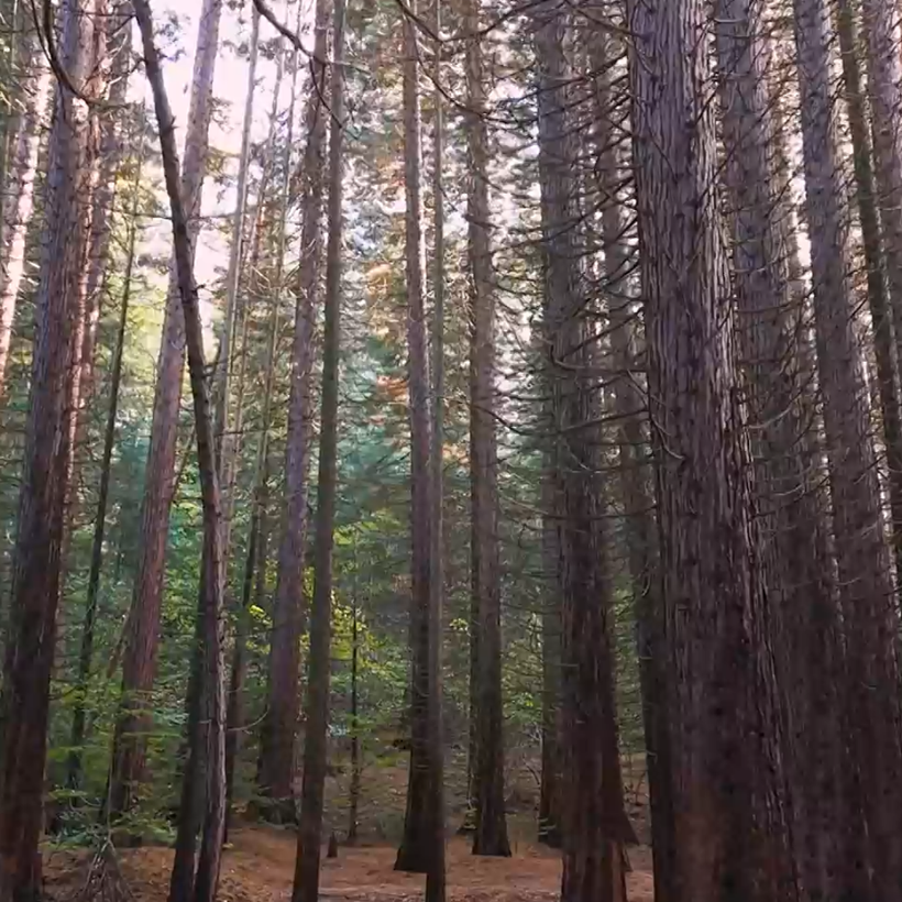 Изживей България | 14 февруари 2026