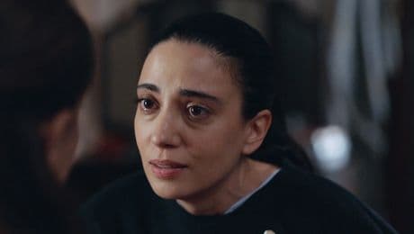 изображение на Шербет от боровинки