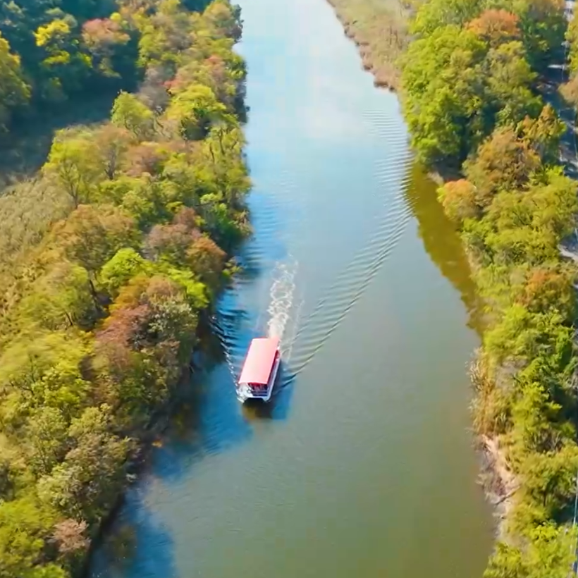 Изживей България | 28 февруари 2026