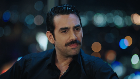 изображение на Шербет от боровинки