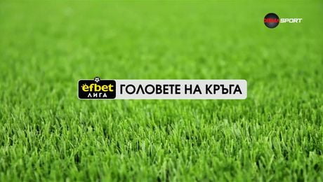 изображение на Головете на кръга в efbet Лига | 19 май 2026