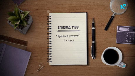 изображение на Съдебен спор | Трева в устата | 4 окт. 2026 | част 2